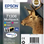 Epson Original C13T13064012 T1306