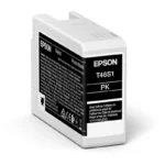 Original Epson C13T46S100 T46S1 Tintenpatrone Schwarz